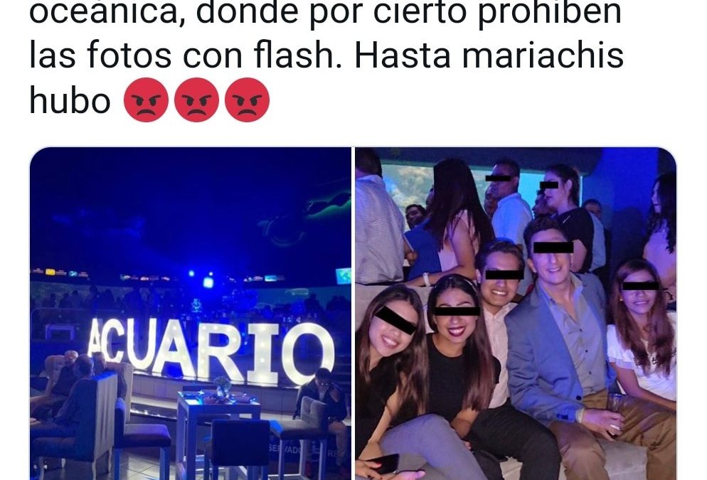 A LOS VISITANTES Y TURISTAS DEL ACUARIO DE VERACRUZ SE LES PROHIBE QUE TOMEN FOTOGRAFÍAS CON FLASH