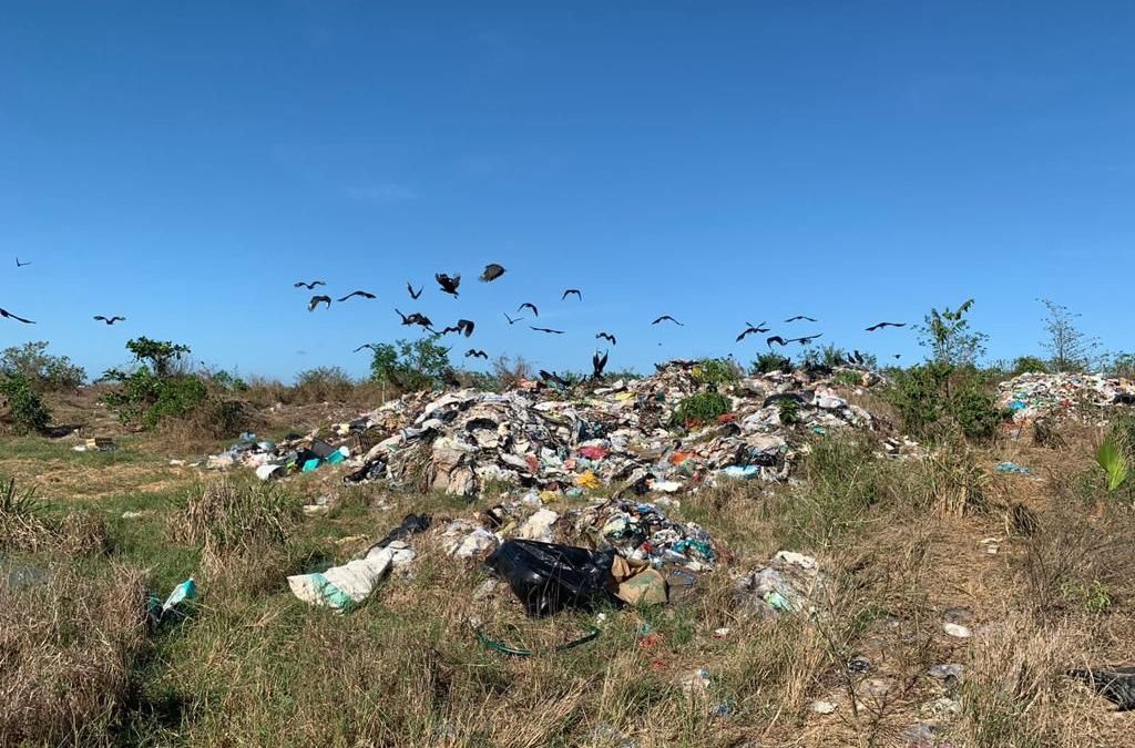 Alcalde de San Rafael, ecocida