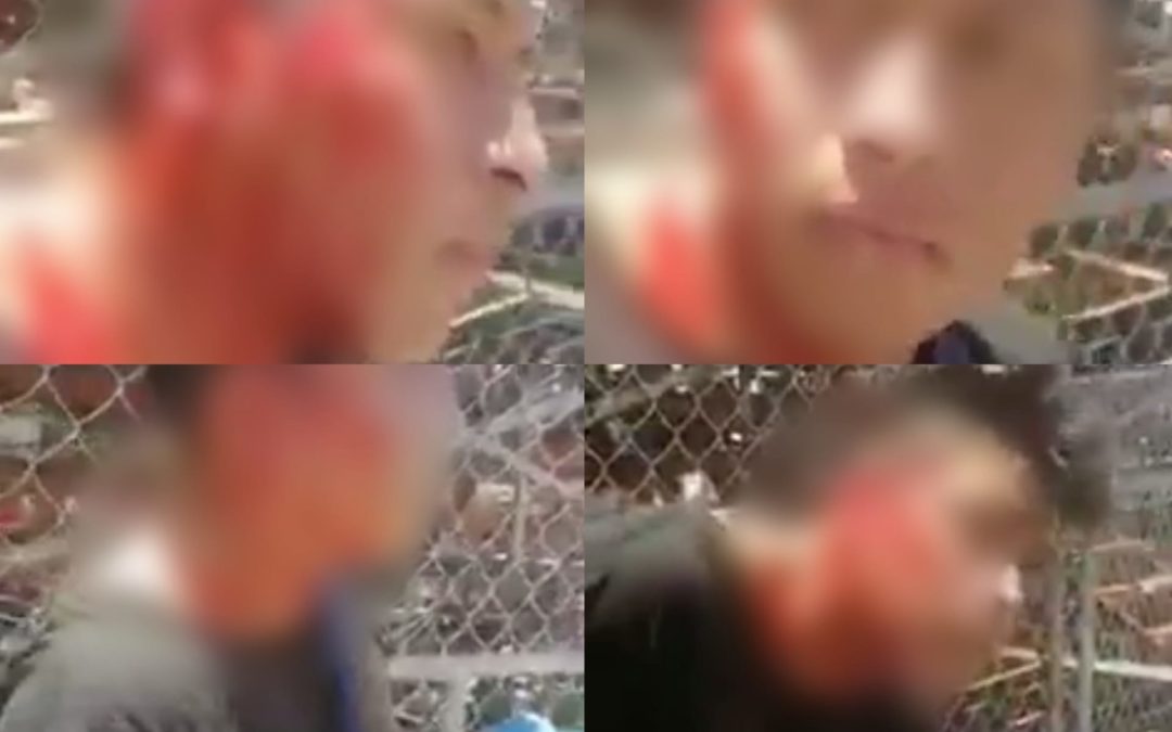 ¡Personal del ayuntamiento de Veracruz golpea salvajemente a vendedor de Manzanas!