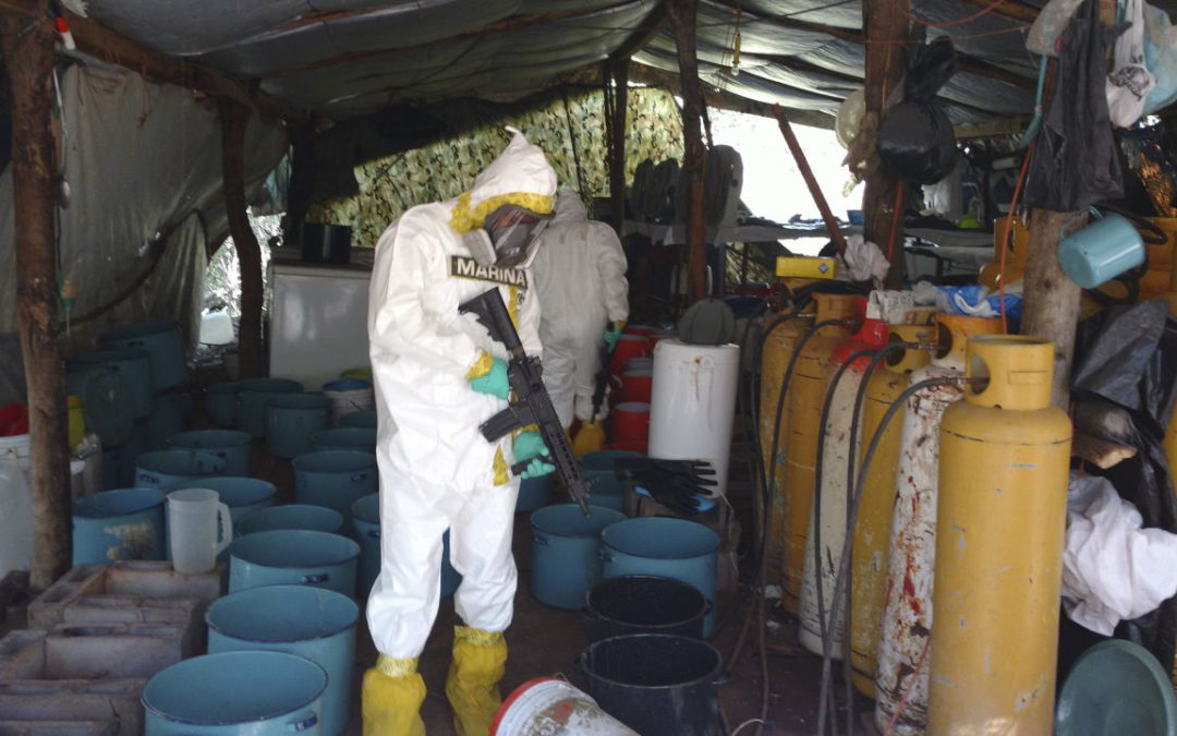 Asegura Sedena seis laboratorios clandestinos en el Pacífico norte