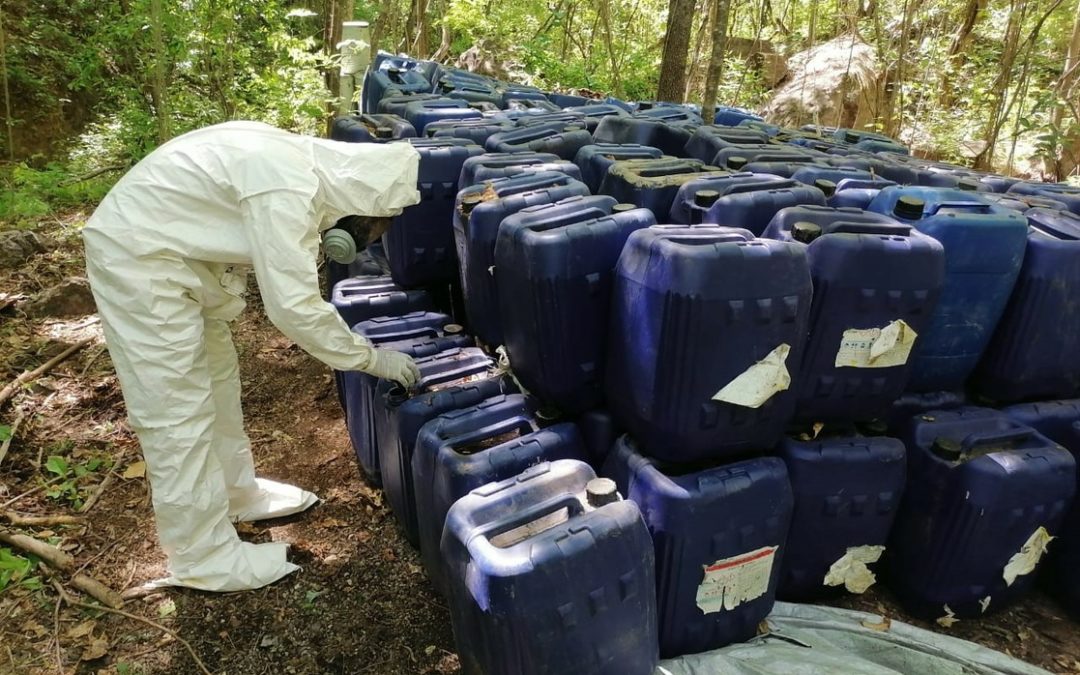 Asegura Sedena droga en Sonora; destruye narcolaboratorios en Sinaloa