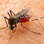 Suman 21 casos de dengue hemorrágico y 1 persona fallecida en Loma Bonita
