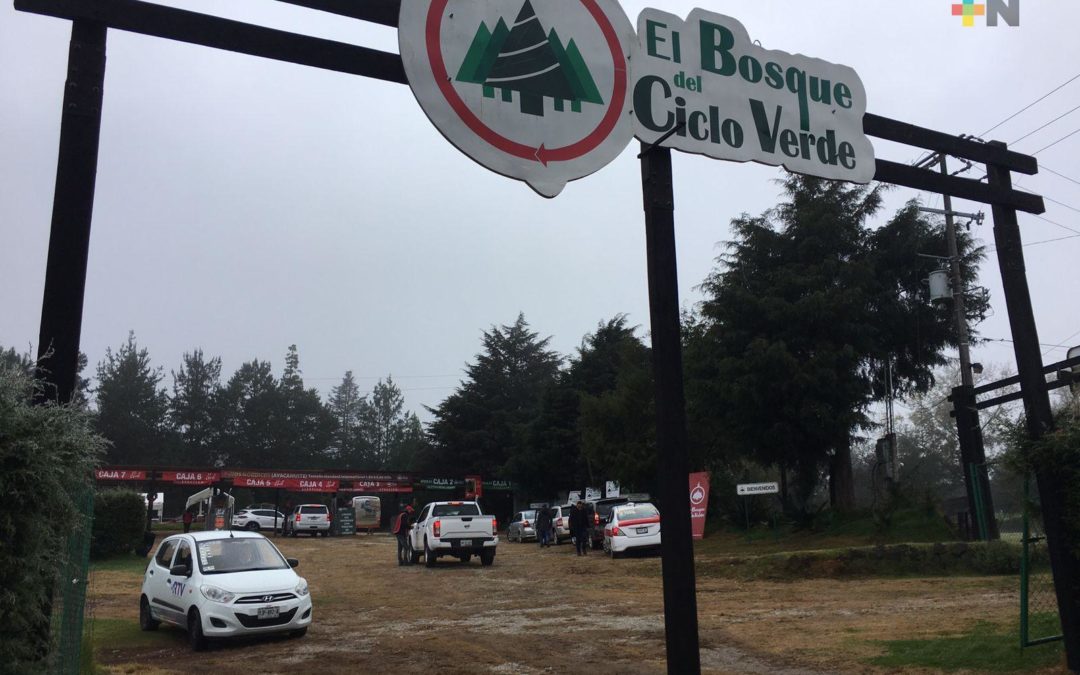 ABRE SUS PUERTAS EL BOSQUE DEL CICLO VERDE