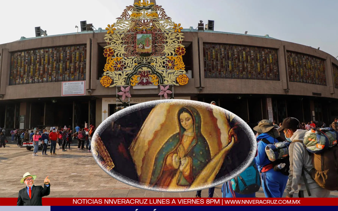 LA IGLESIA PREVEE RECORD HISTORICO DE PEREGRINOS ESTE 12 DE DICIEMBRE