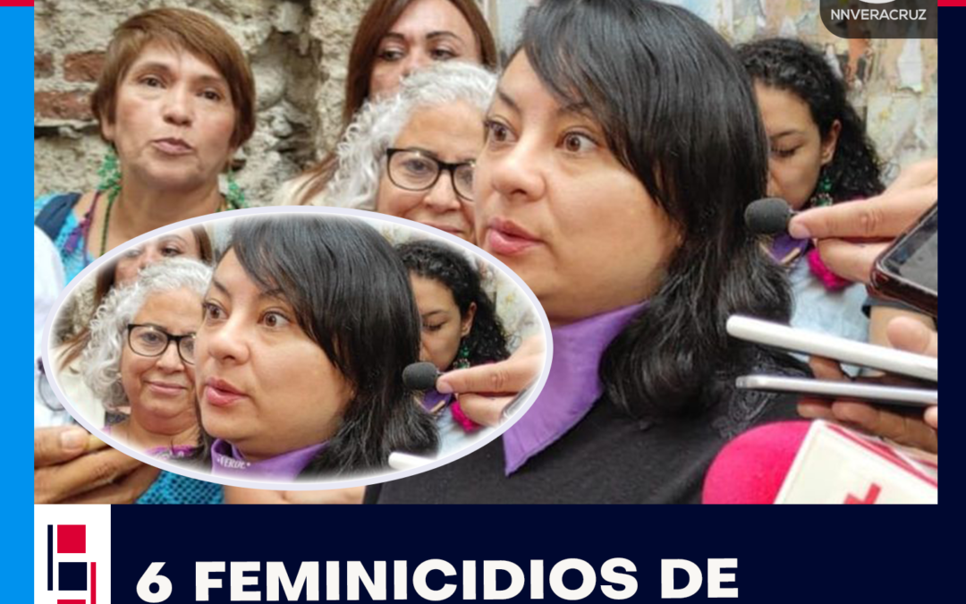 SEIS FEMINICIDIOS DE MUJERES EMBARAZADAS DESDE EL AÑO 2018 A LA FECHA