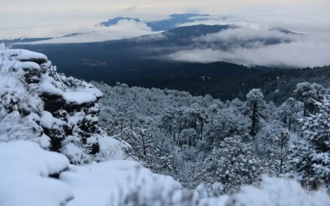Así se ve la nevada en el Cofre de Perote; piden extremar precauciones