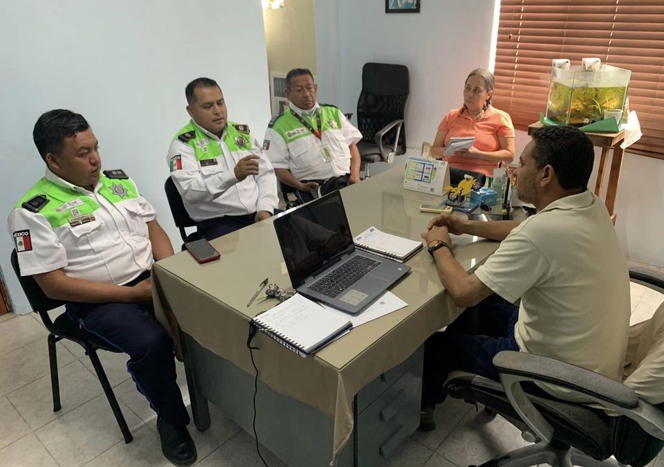 PROGRAMA DE CULTURA VIAL