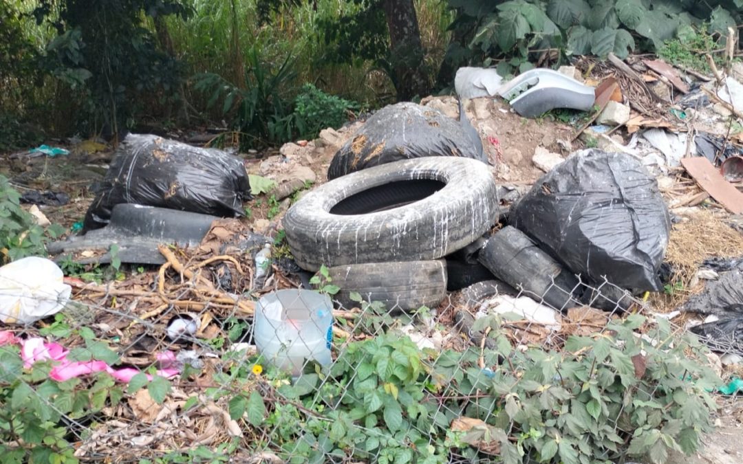 DENUNCIAN COCHINERO CERCA DE LA USBI