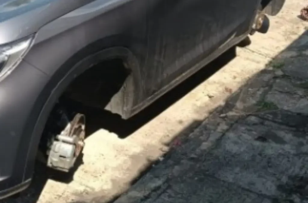 IMPARABLES LOS ROBOS EN FORTIN DE LAS FLOREDS