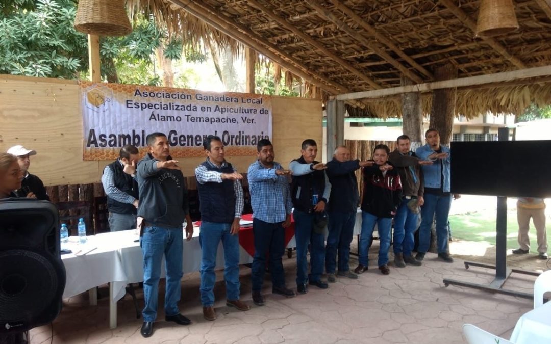 RENUEVAN COMITÉ DE APICULTORES EN ÁLAMO