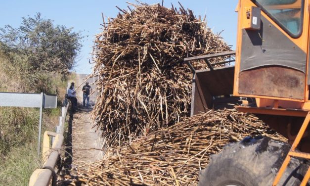 VUELCA CHIQUI FULL CARGADO DE CAÑA EN EL PUENTE BICENTENARIO