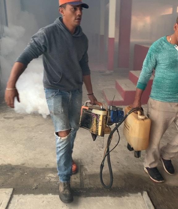 ENJAMBRE DE ABEJAS EN INSTITUCIÓN EDUCATIVA
