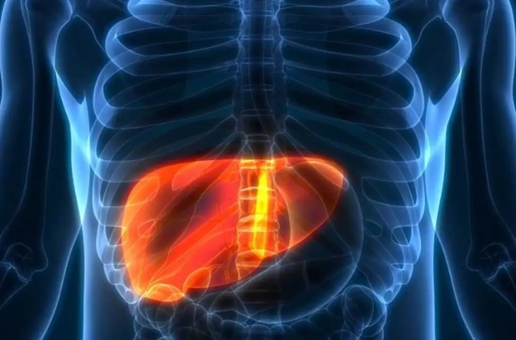 ¡Es gratis! Realiza UV tratamiento contra hígado graso y estreñimiento