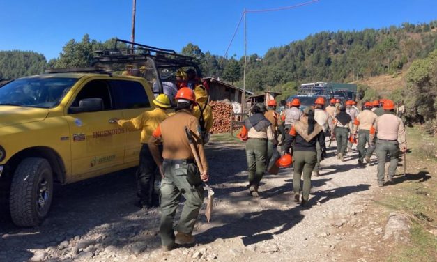 ATIENDEN CUATRO INCENDIOS FORESTALES EN EL COFRE DE PEROTE