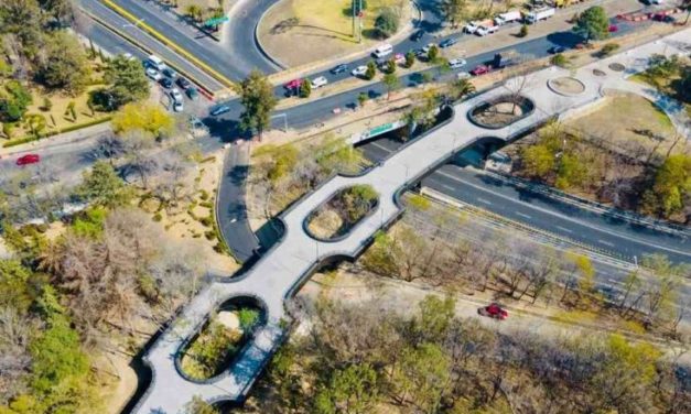 Se encuentran piezas arqueológicas en el bosque de Chapultepec