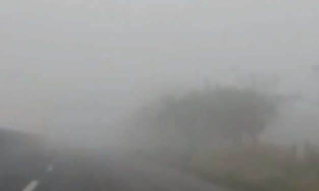 Niebla en Veracruz- Boca del Río