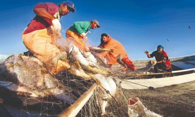 Proponen extender el programa «Sembrando vida»