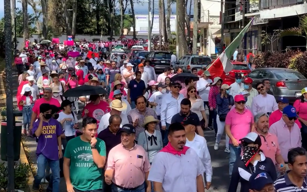 MARCHA A FAVOR DEL INE EN XALAPA (VIDEO)