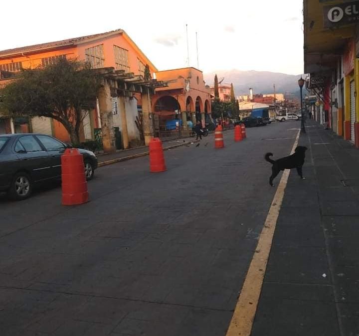 Desalojan a vendedores ambulantes en Coatepec