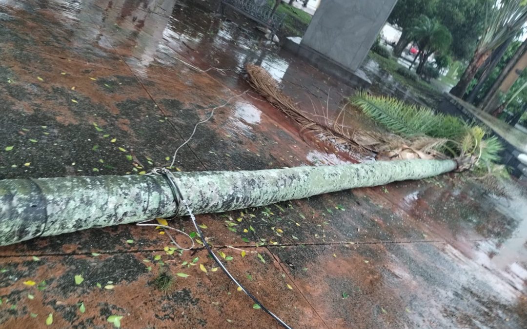 ¡ANTE TORMENTA, ACTIVÓ FORTÍN RÁPIDO PLAN DE RESPUESTA!