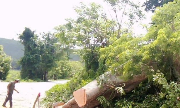 ?TOMAN PREVISIONES PARA LA TEMPORADA DE LLUVIAS Y HURACANES