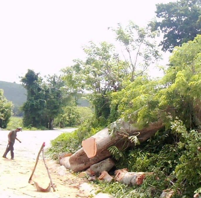 ?TOMAN PREVISIONES PARA LA TEMPORADA DE LLUVIAS Y HURACANES