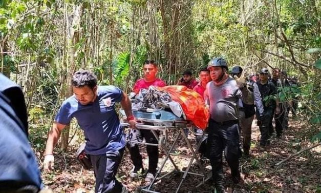 ?‍?PERRO RESCATISTA AYUDA A ENCONTRAR A UNA NIÑA PERDIDA EN LA SELVA