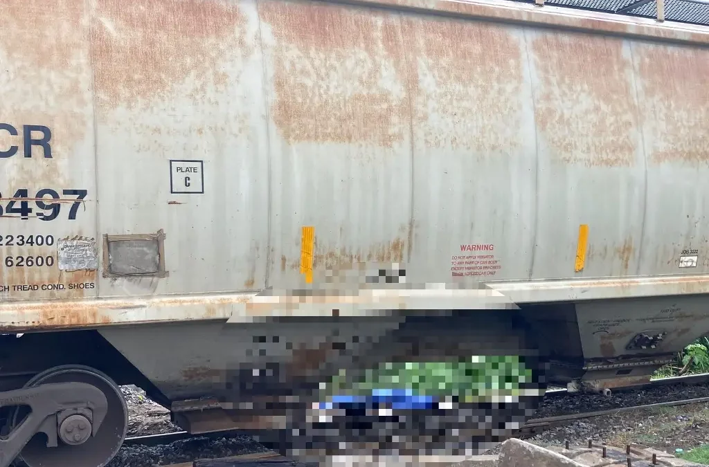 SE LO LLEVA EL TREN