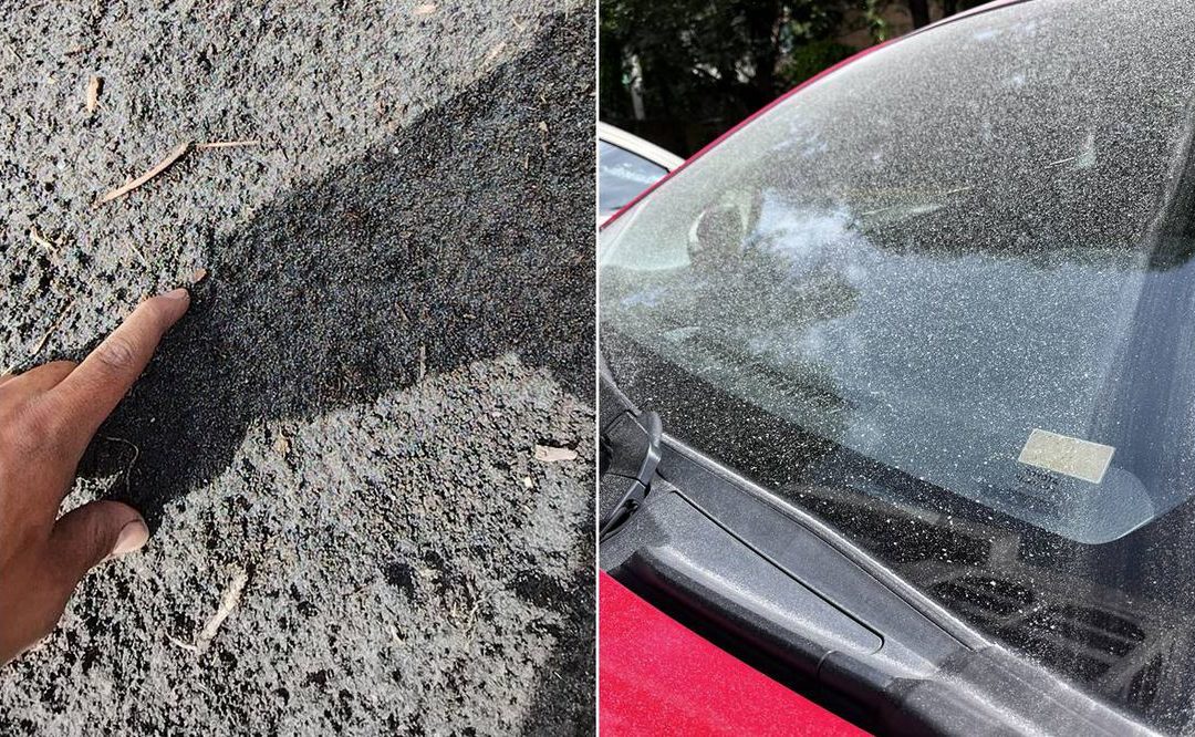 REPORTAN CAÍDA DE CENIZA VOLCÁNICA EN COYOACÁN, TLALPAN Y XOCHIMILCO