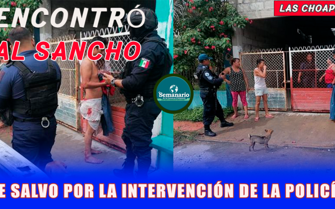 ????????Ó ?? «??????» ? ??? ???? ?? ????