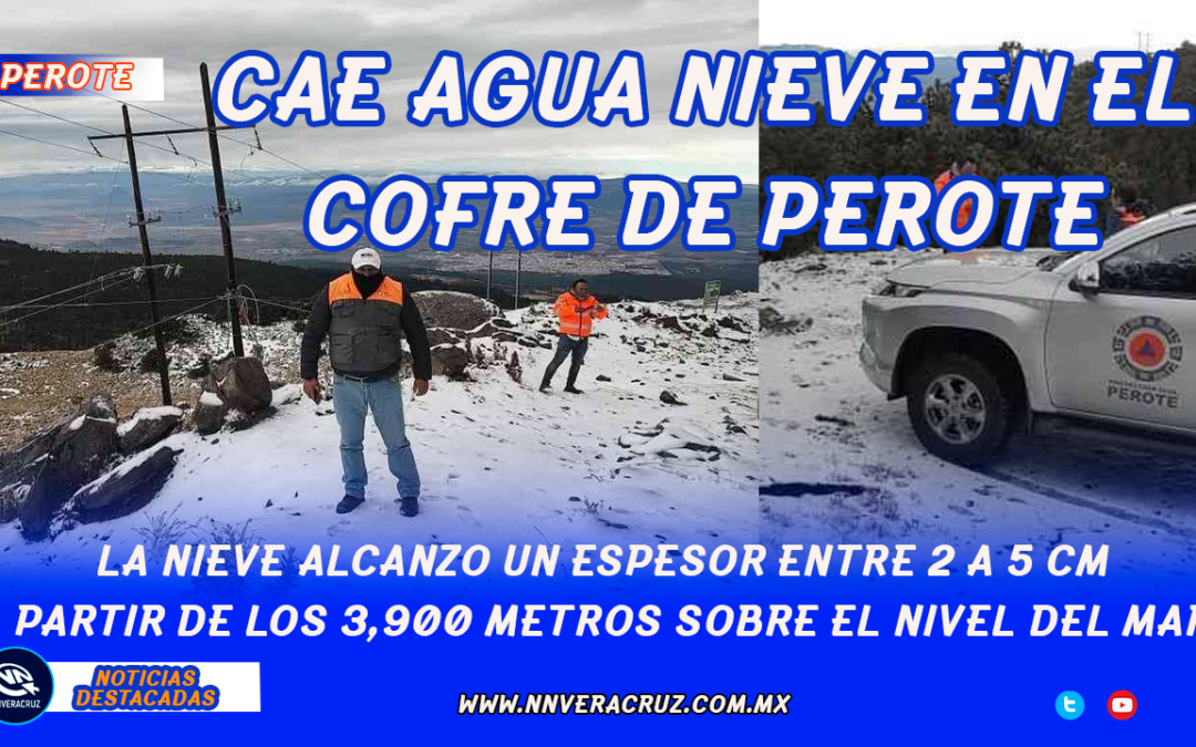 Cae nieve en el Parque Nacional de Cofre de Perote