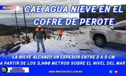 Cae nieve en el Parque Nacional de Cofre de Perote