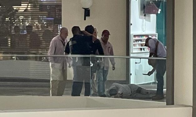 DE PUEBLA ASALTANTES DE JOYERIA QUE PROVOCARON BALACERA EN PLAZA AMÉRICAS DE BOCA DEL RIO