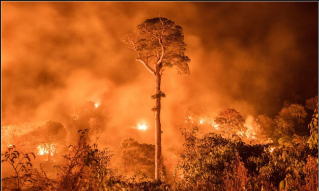 Alertan por posibles incendios por ingreso de Surada a Veracruz