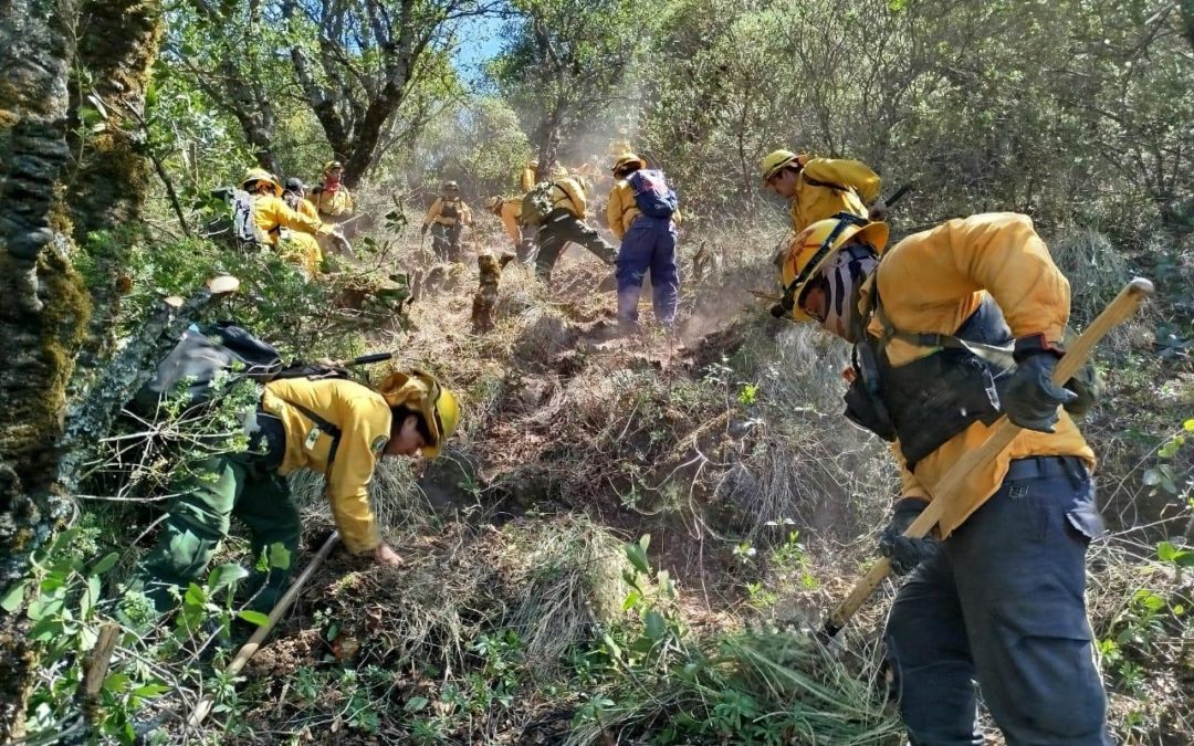 DE MANERA COORDINADA SE ATIENDEN INCENDIOS FORESTALES EN VERACRUZ