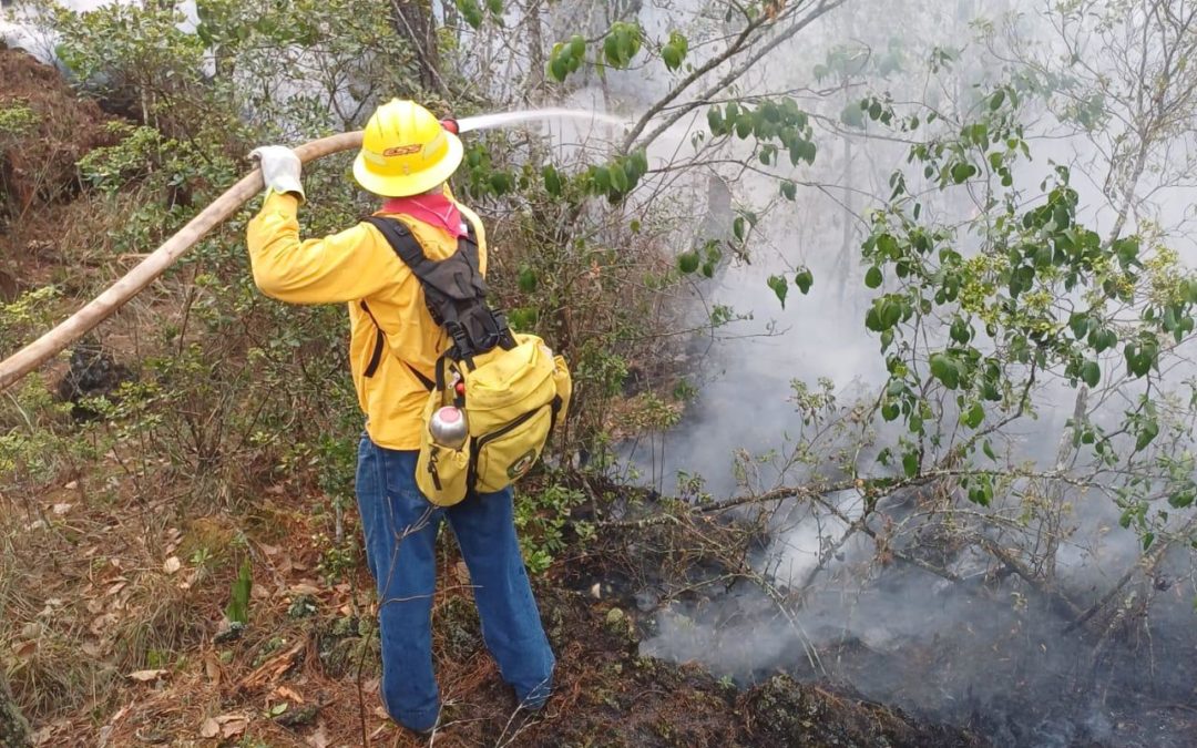 EL GOBIERNO ESTATAL INFORMA SITUACIÓN ACTUAL DE INCENDIOS EN TERRITORIO VERACRUZANO