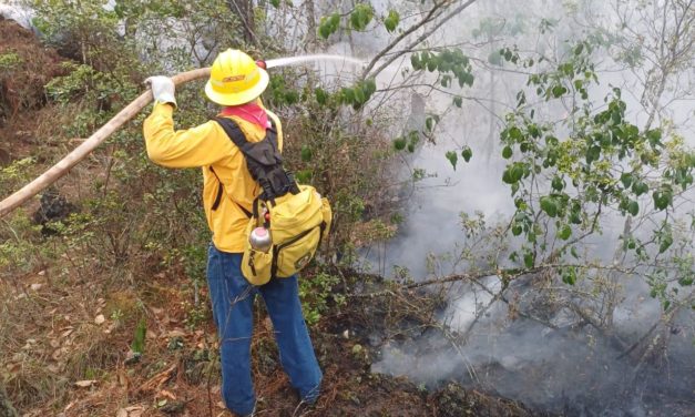 EL GOBIERNO ESTATAL INFORMA SITUACIÓN ACTUAL DE INCENDIOS EN TERRITORIO VERACRUZANO