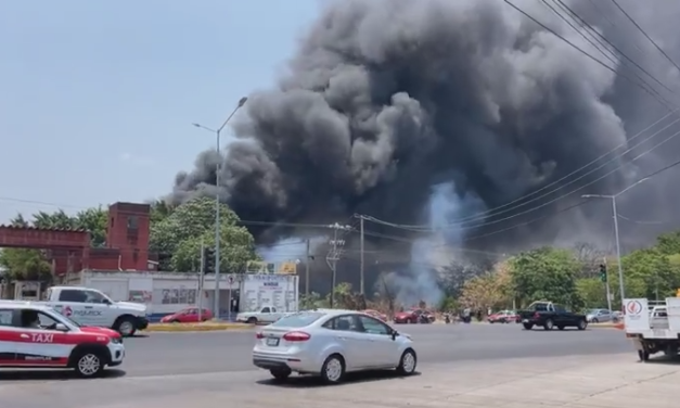 IMPRESIONANTE INCENDIO DE PASTIZALES EN MINATITLAN…MUY CERCA DEL COMPLEJO PAJARITOS (VIDEO)