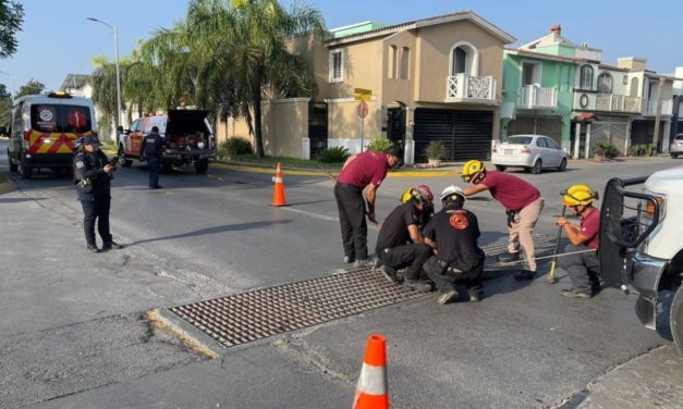 QUEDARON ATORADOS EN LA ALCANTARILLA