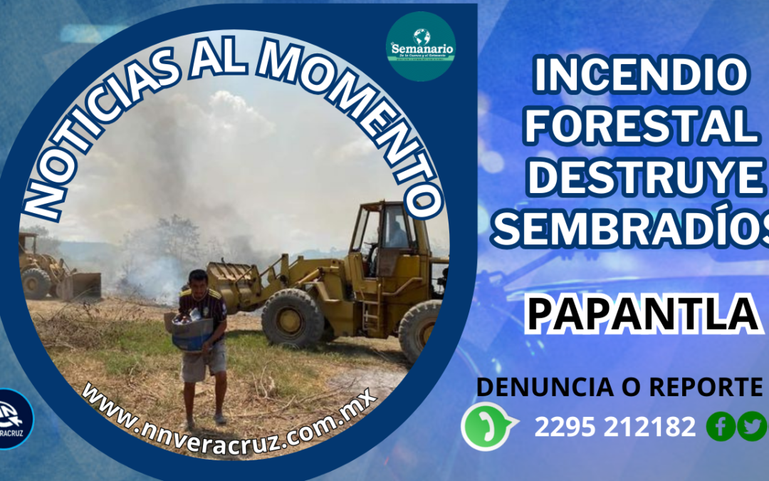 INCENDIO FORESTAL EN PAPANTLA