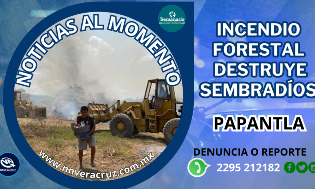 INCENDIO FORESTAL EN PAPANTLA