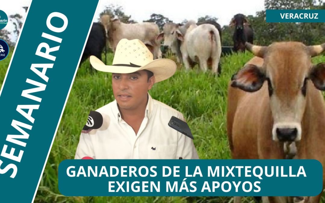 ?GANADEROS DE LA MIXTEQUILLA EXIGEN APOYOS DEL GOBIERNO PARA INCREMENTAR SU PRODUCCIÓN
