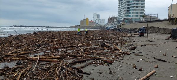 ?TRAS TEMPORAL LLUVIOSO ARRIBAN A PLAYAS TONELADAS DE PALIZADA Y SARGAZO