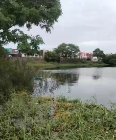 DESCUBREN CUERPO SIN VIDA EN LA LAGUNA ILUSI脫N EN EL PUERTO DE VERACRUZ