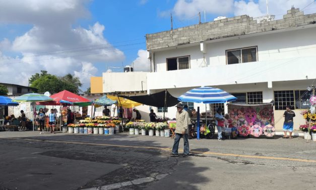POCA AFLUENCIA A CEMENTERIOS POR TODOS LOS SANTOS