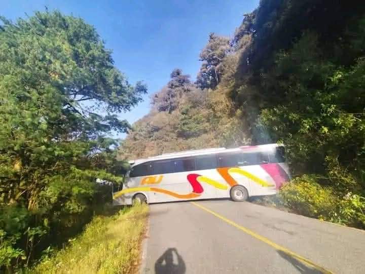 VOLVIERON A NACER, A PUNTO DE IRSE A UN PRECIPICIO