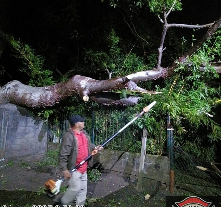 Protección Civil Municipal Actúa ante los Efectos del Frente Frío 24 en San Andrés Tuxtla.