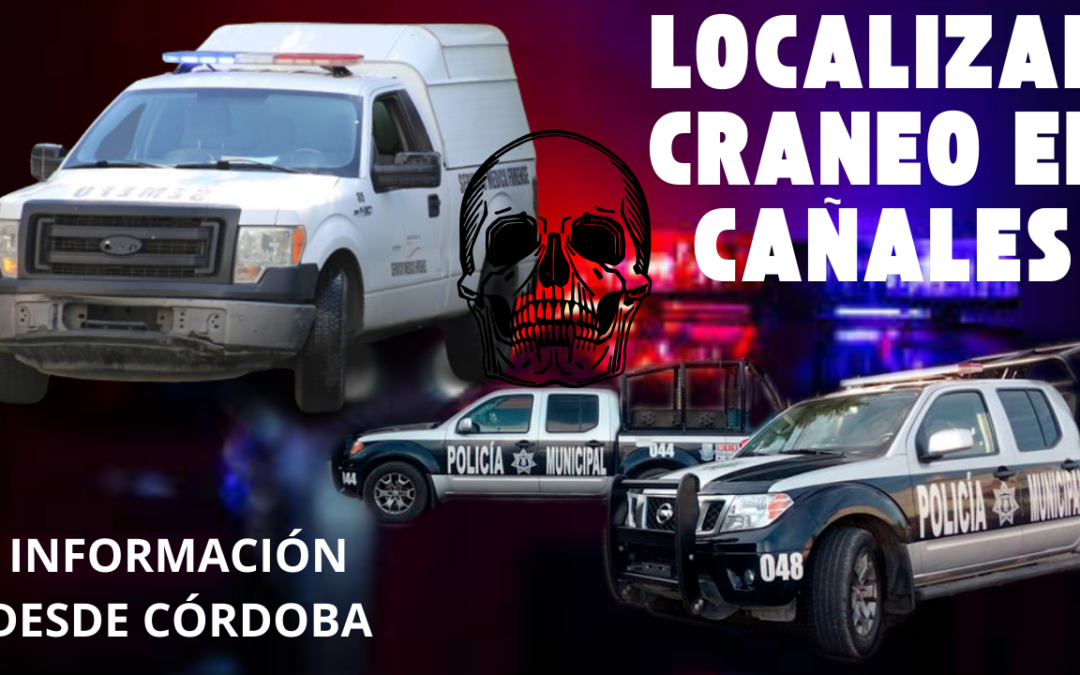 ? CORTADORES DE CAÑA ENCUENTRAN UN CRÁNEO EN UNA PARCELA DE CALERIA