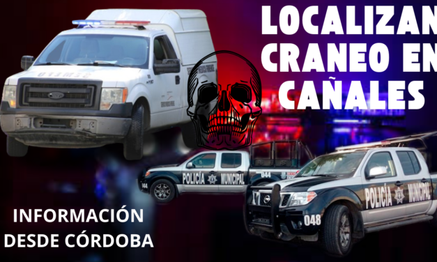 🚓 CORTADORES DE CAÑA ENCUENTRAN UN CRÁNEO EN UNA PARCELA DE CALERIA