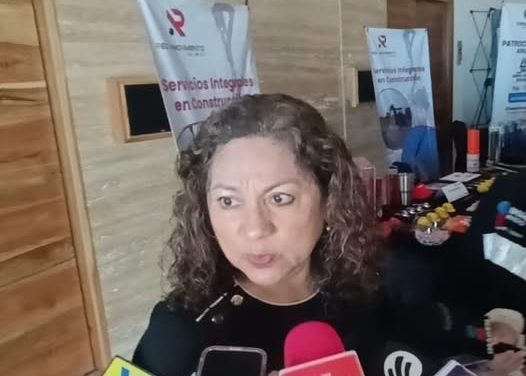 Se detuvo 20% de unidades del autotransporte de carga por caída de movimiento en los puertos